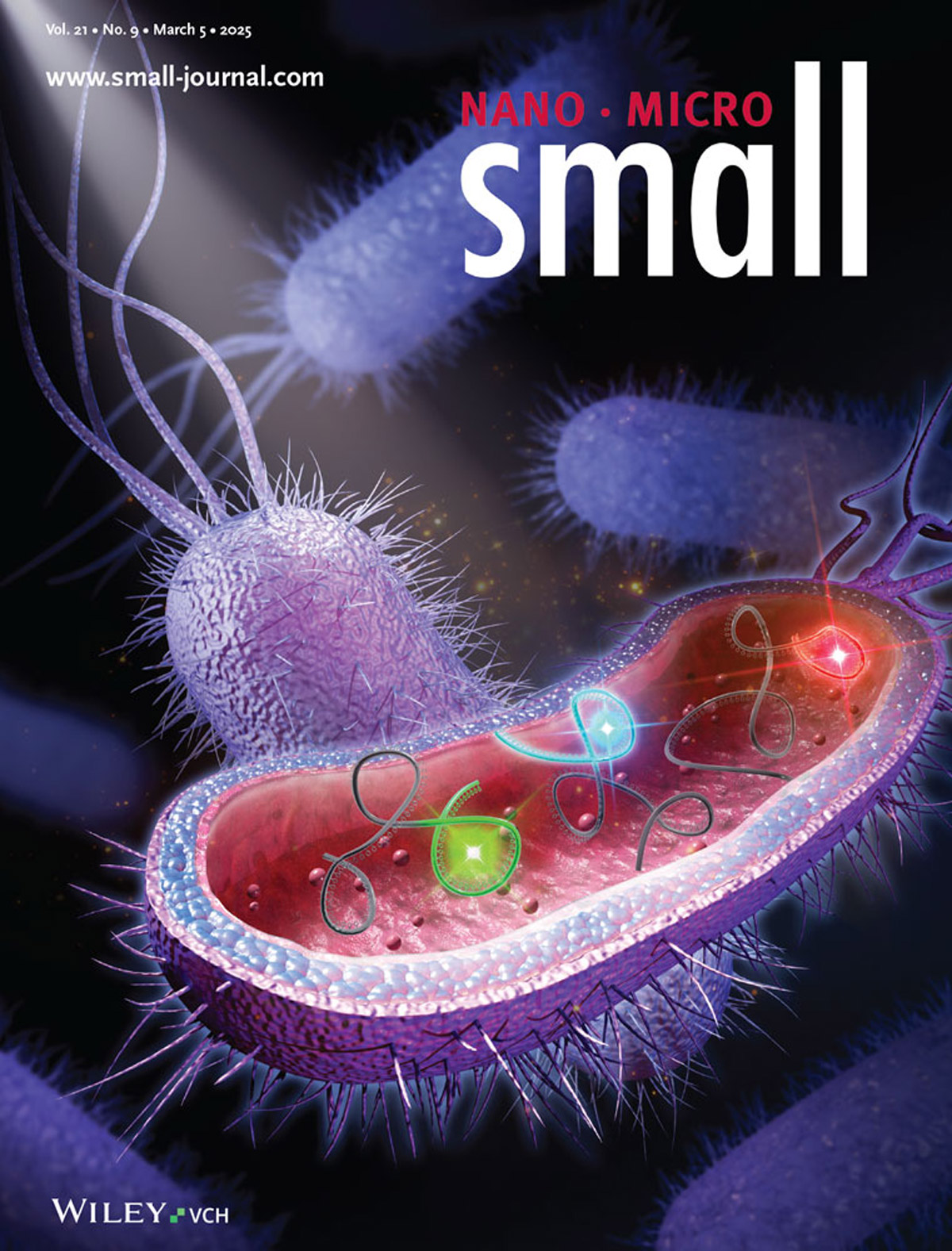 『Articolo di copertina』Myosotis inaugura una nuova era nell'imaging dell'RNA!