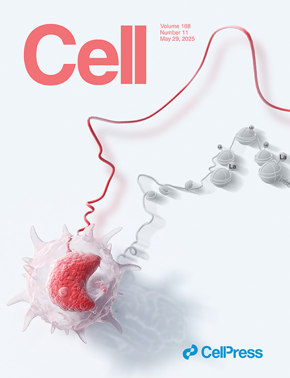 『La copertina progettata da Sondii è apparsa su Cell』Decodifica del 