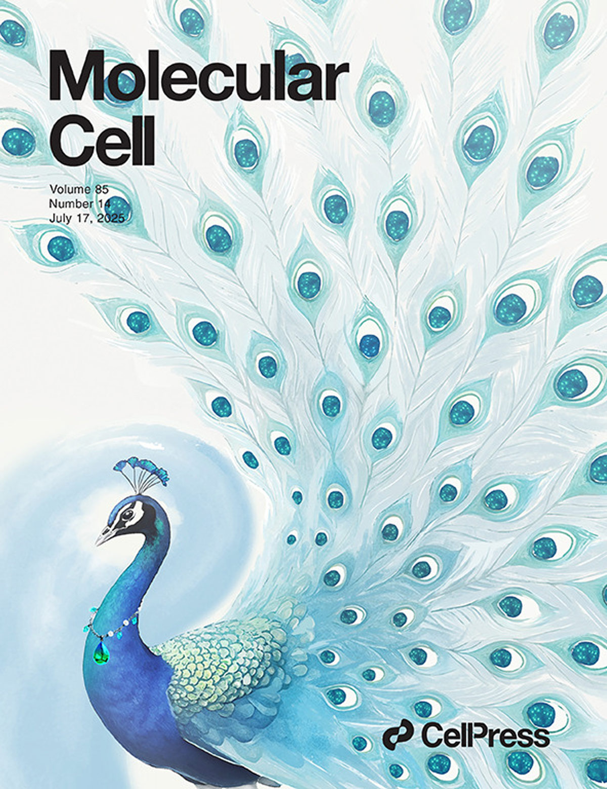 『La copertina progettata è stata presentata in Molecular Cell』La modifica dell'acido lattico di YTHDC1 apre un nuovo bersaglio per il trattamento del cancro al rene!