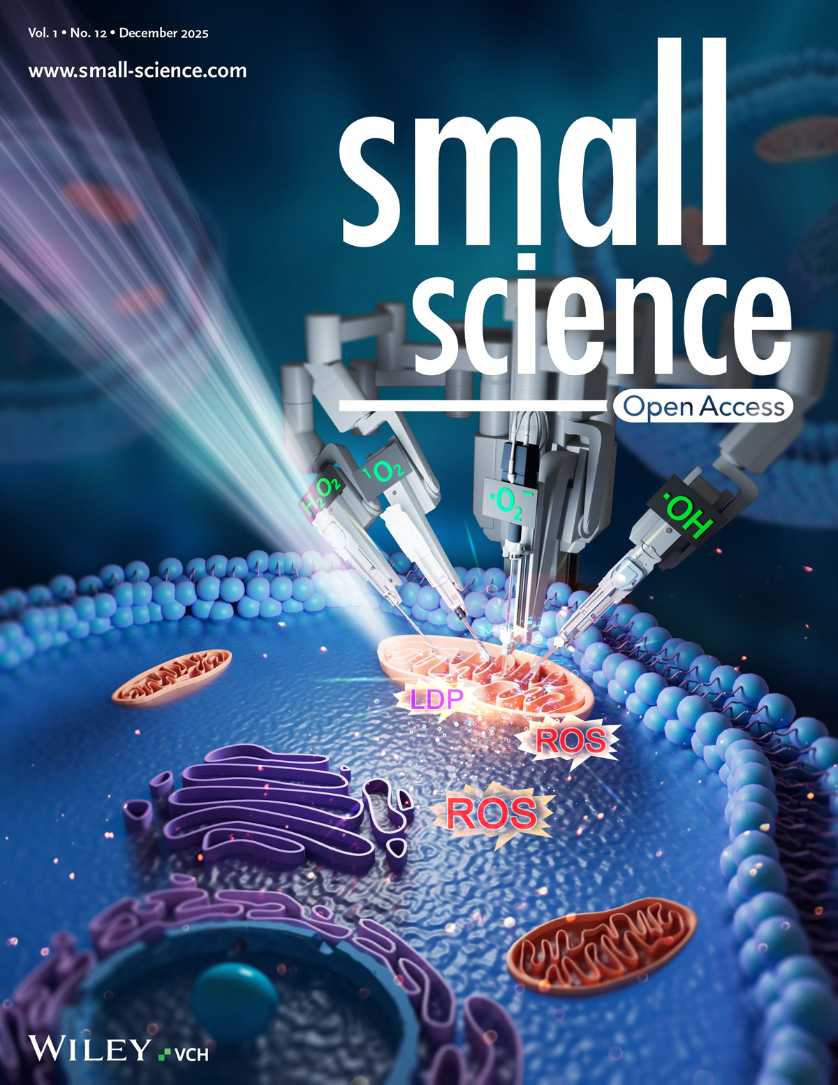 『Articolo di copertina』 Nuova svolta nel laser a femtosecondi: 